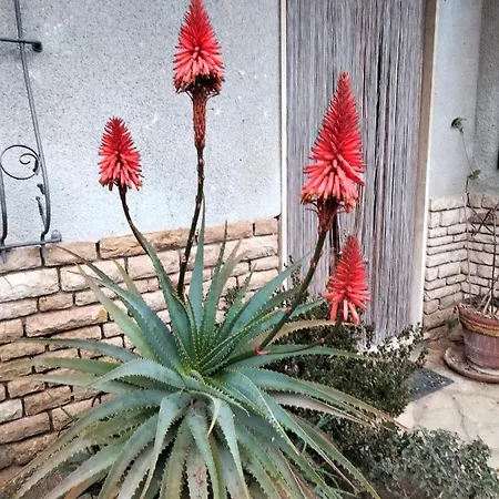 A Casa Di Gio' Дом отдыха Леричи