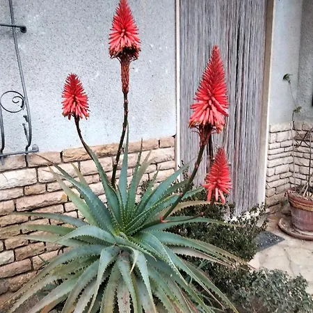 A Casa Di Gio' 別荘 レーリチ